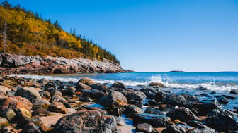 Barnacled granite boulders and cobbles line a Maine shore as a wave breaks over them, with a rocky headland behind covered in orange and gold autumn trees and dark spruce under a clear blue sky.